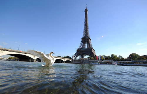 Diferentes vista de la Torre Eiffel
