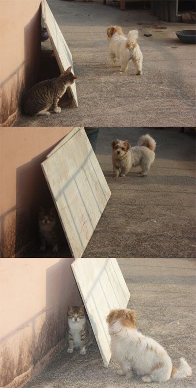 http://ru.fishki.net/pics9/podbor83_06.jpg
