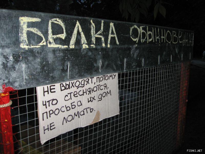 fishki