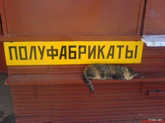 fishki