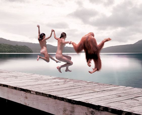 Fun pictures of the day