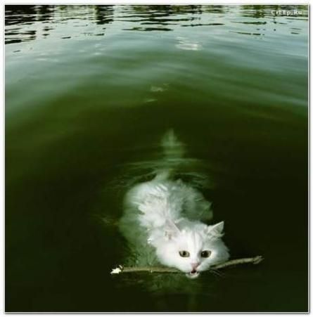Fun pictures of the day