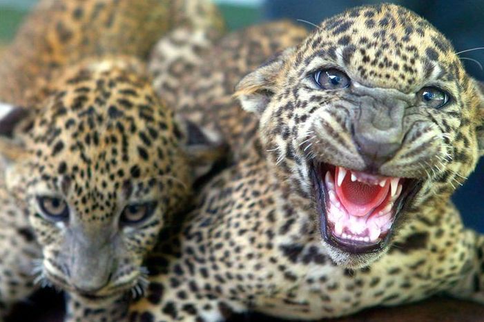 Fun pictures of the day