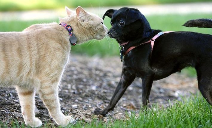 Fun pictures of the day