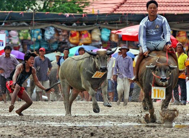 Fun pictures of the day