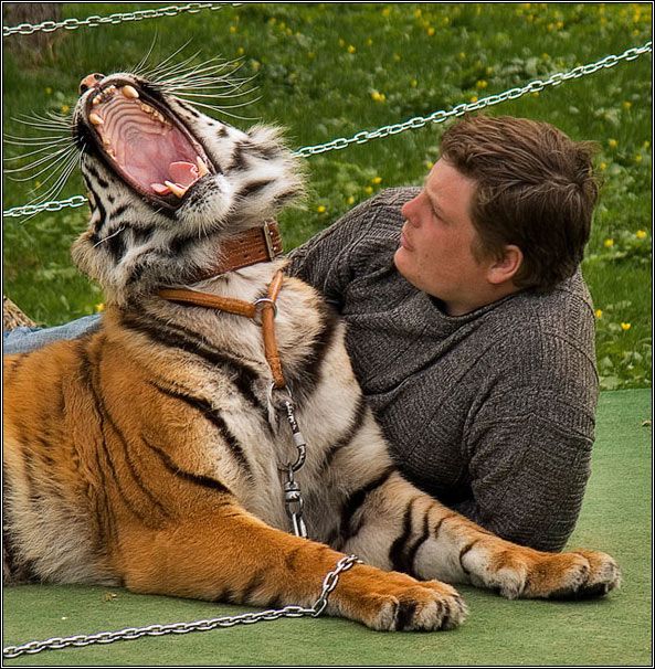 Fun pictures of the day