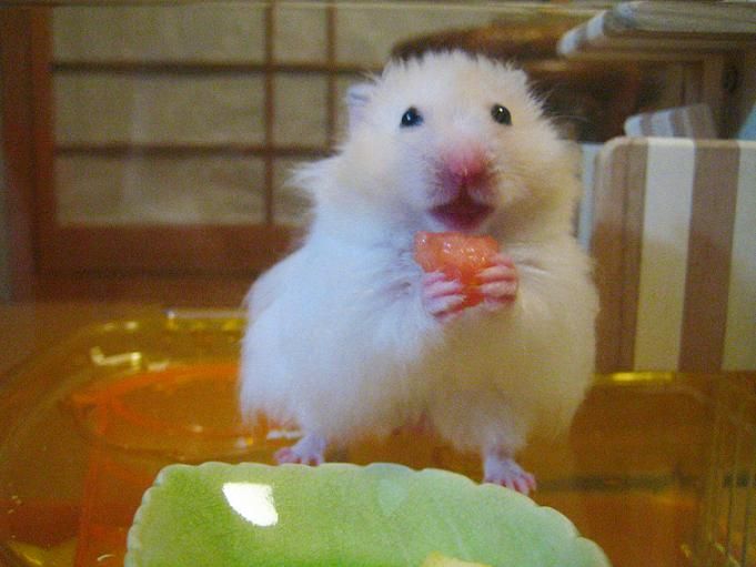 Fun pictures of the day