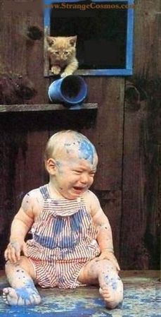 Fun pictures of the day