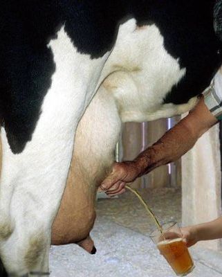 Fun pictures of the day