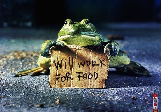 Fun pictures of the day