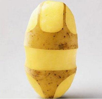 Fun pictures of the day