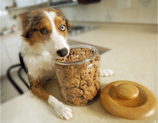 Fun pictures of the day