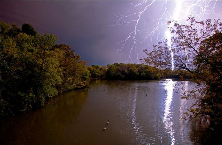 Fun pictures of the day