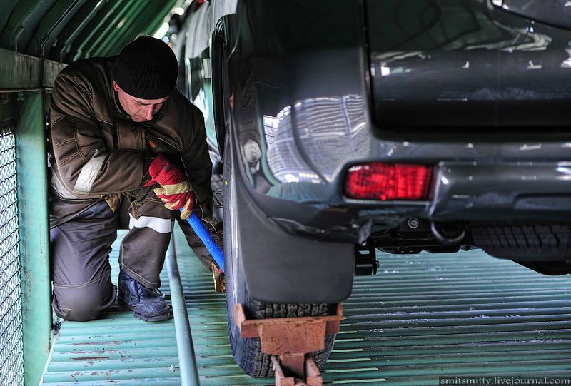 ���������, ������������ ����, toyota prado