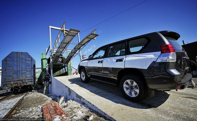 ���������, ������������ ����, toyota prado