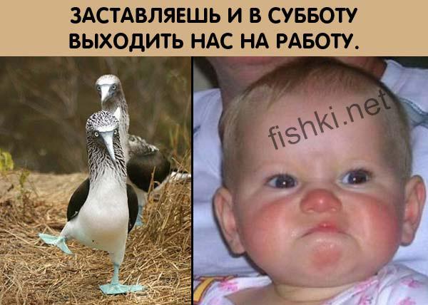 � ������� �������� (10 ����)