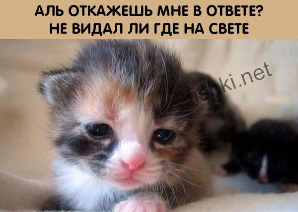 � ������� �������� (10 ����)