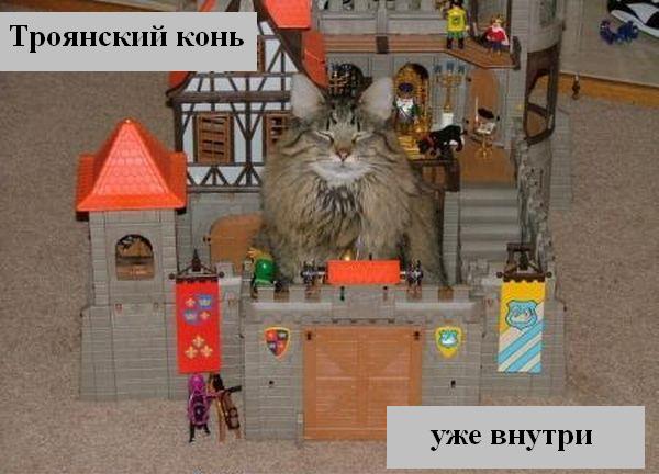 http://ru.fishki.net/picsw/012008/24/animals/006_animals.jpg
