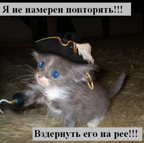http://ru.fishki.net/picsw/012008/24/animals/012_animals.jpg