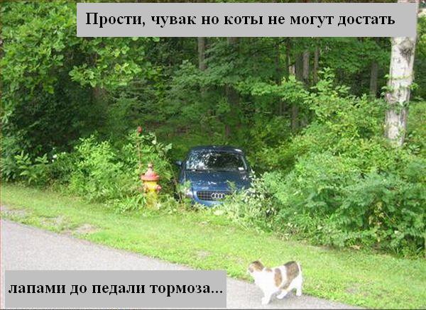 http://ru.fishki.net/picsw/012008/24/animals/018_animals.jpg