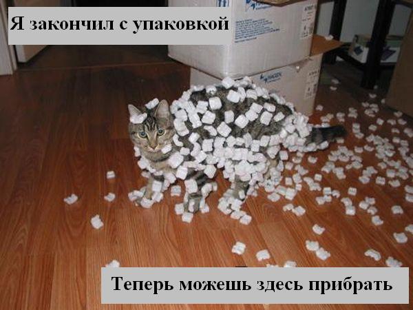 http://ru.fishki.net/picsw/012008/24/animals/028_animals.jpg
