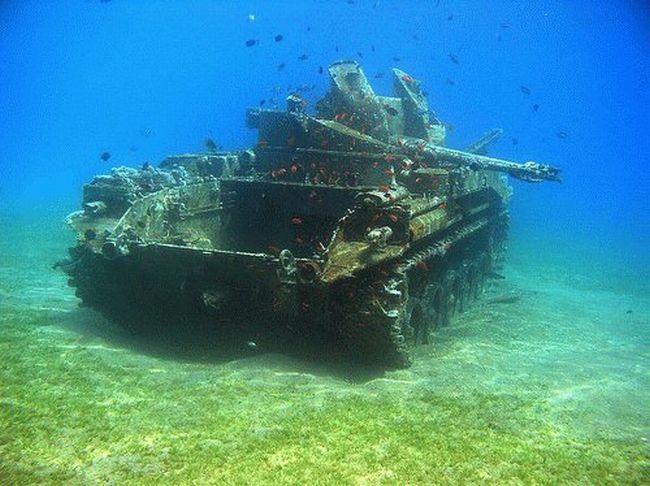 &Ocy; &tcy;&iecy;&khcy; &kcy;&tcy;&ocy; &vcy; &tcy;&acy;&ncy;&kcy;&iecy; (69 &fcy;&ocy;&tcy;&ocy;)