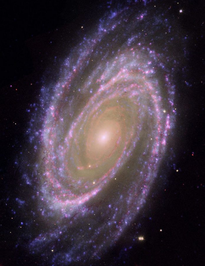 25. Галактика M81 из созвездия Большой Медведицы. Эта галактика хорошо видна даже в телескопы астрономов-любителей. 