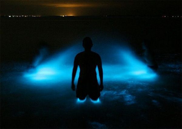 Светящаяся вода Гипслендских озер