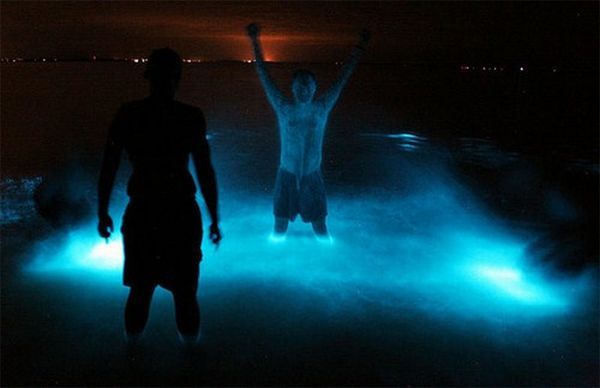 Светящаяся вода Гипслендских озер