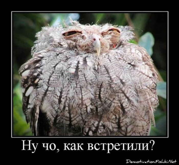http://ru.fishki.net/picsw/012012/13/post/demotivator/5015.jpg
