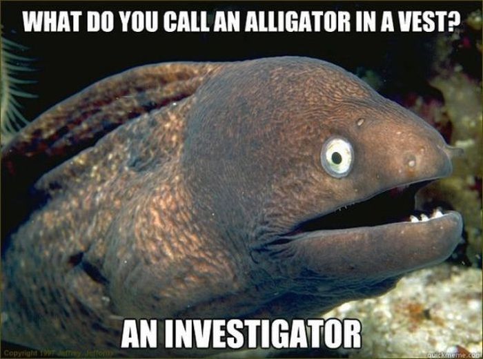Funny Eel Memes (12 pics)