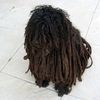 Красивые фото