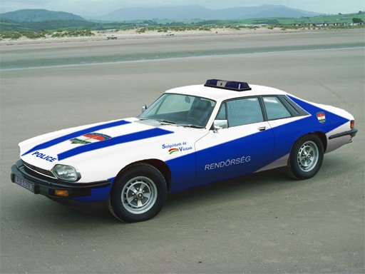 14_police_36926.jpg