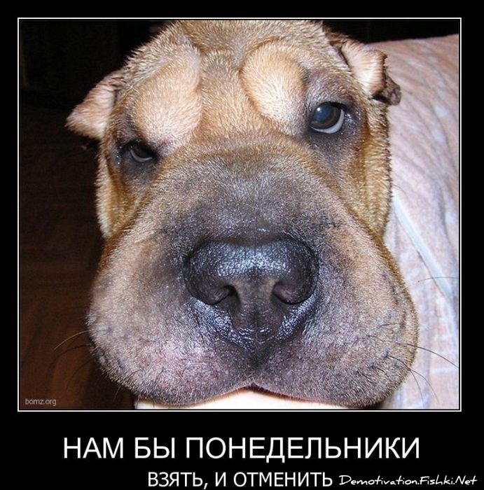 http://ru.fishki.net/picsw/022011/25/post/demotivator/demotivator-067.jpg