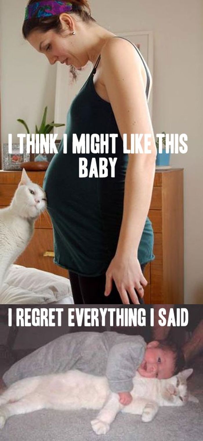 Regrets you make them afterwards...