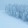 Фотоприкол онлайн