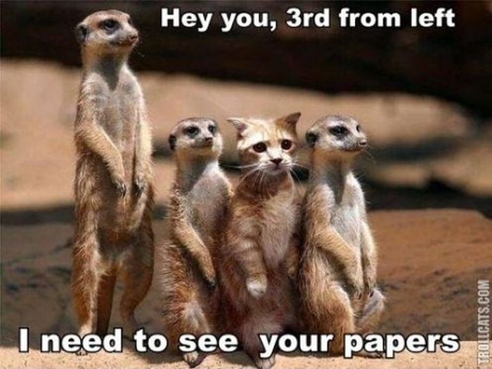 Busted!