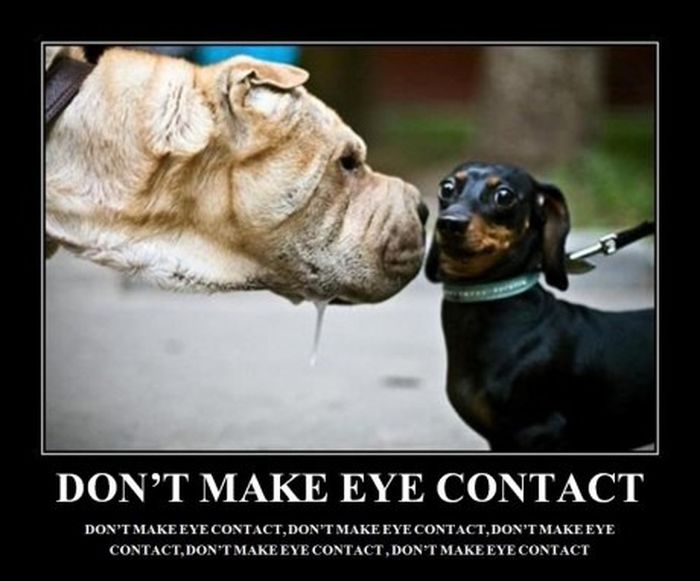 Just don't...