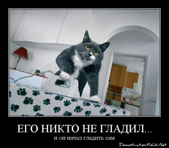 http://ru.fishki.net/picsw/022012/10/post/demotivator/demotivator-0038.jpg