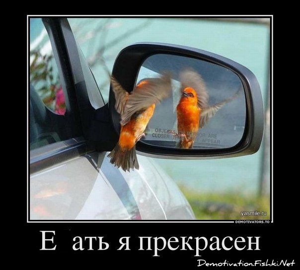 http://ru.fishki.net/picsw/022013/18/post//dem/dem-0001.jpg