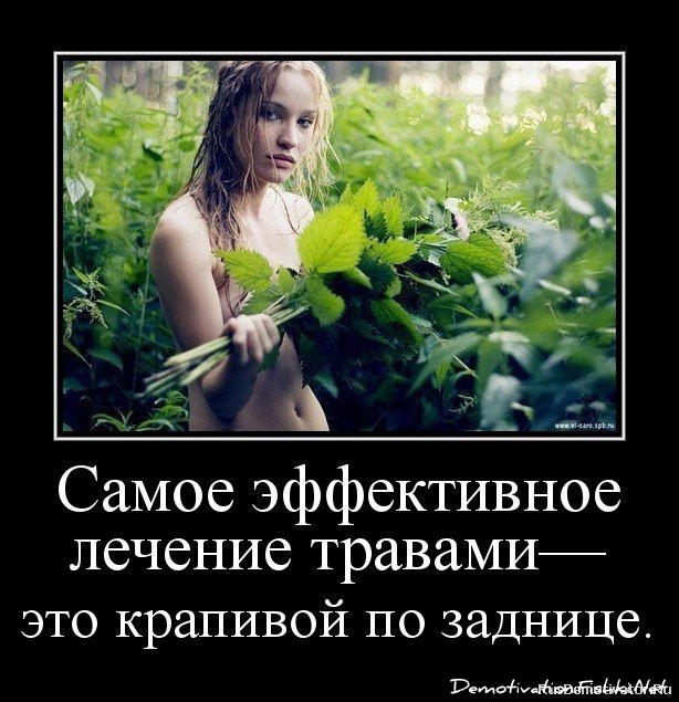 http://ru.fishki.net/picsw/022013/20/post/dem/dem-0007.jpg