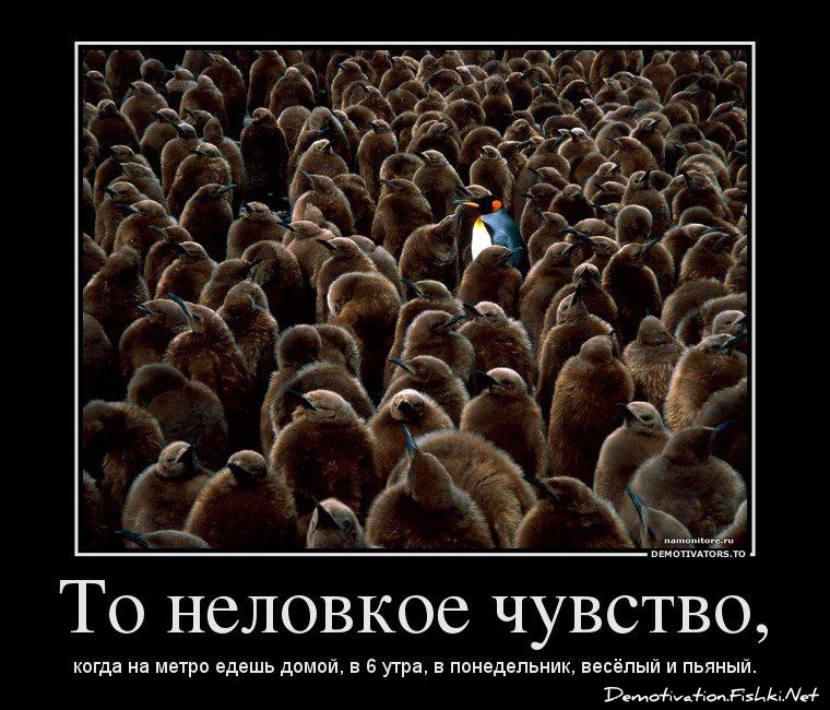 http://ru.fishki.net/picsw/022013/20/post/dem/dem-0023.jpg
