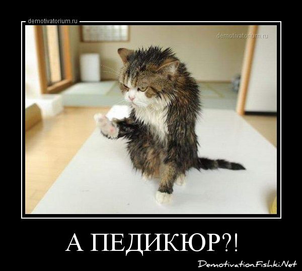 http://ru.fishki.net/picsw/022013/20/post/dem/dem-0039.jpg