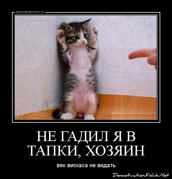 http://ru.fishki.net/picsw/022013/20/post/dem/dem-0043.jpg