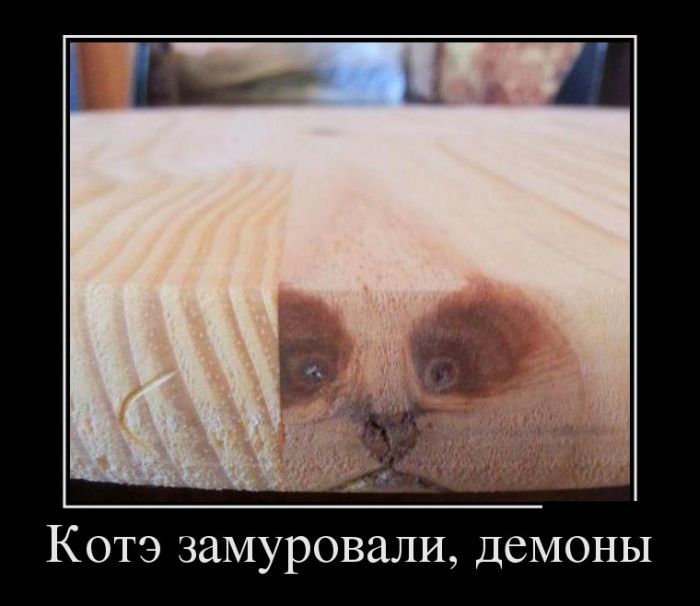 http://ru.fishki.net/picsw/022013/22/post/dem/dem-0009.jpg