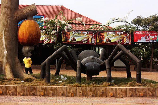 Поедание тарантулов в Камбодже Pauk-0006