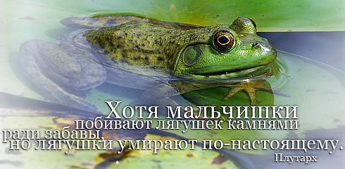 http://ru.fishki.net/picsw/032009/02/quote/013.jpg
