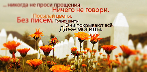 http://ru.fishki.net/picsw/032009/02/quote/023.jpg