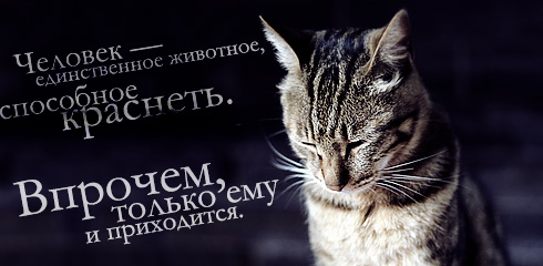 http://ru.fishki.net/picsw/032009/02/quote/025.jpg