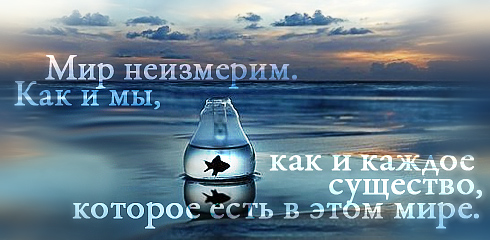 http://ru.fishki.net/picsw/032009/02/quote/047.jpg
